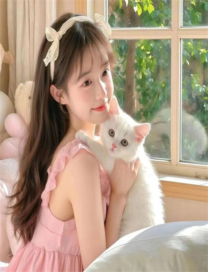 《机甲少女》影视作品全面经济解析：剧情深度剖析与艺术价值探讨